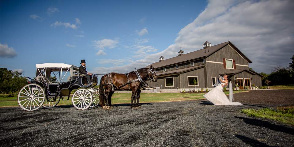 Country Wedding Site